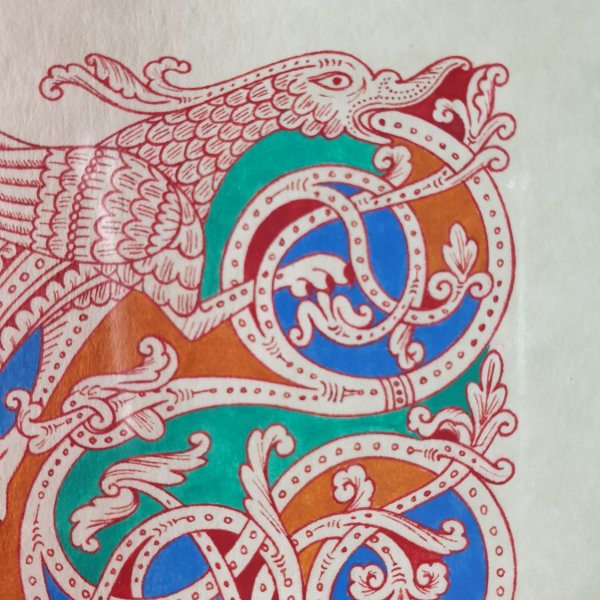 Bogstav F i romansk stil med illumination